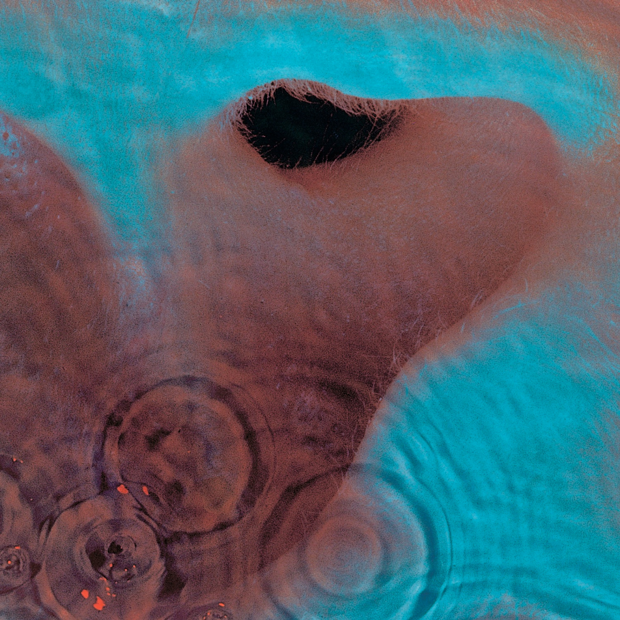 Meddle — Pink Floyd